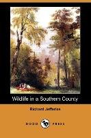 Wildlife in a Southern County (Dodo Press) - Jefferies Richard