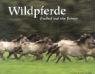 Wildpferde - Lamm Bernd, Elli Radinger H.