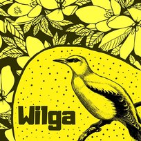 Wilga Ptaszkowie Śpiewali