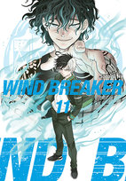Wind Breaker. Tom 11 Satoru Nii