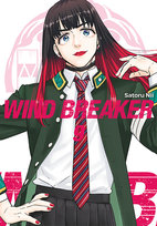 Wind Breaker. Tom 9 Satoru Nii