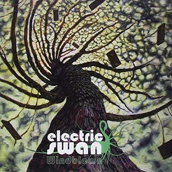 Windblown - Electric Swan