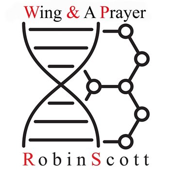 Wing & A Prayer - Robin Scott & M