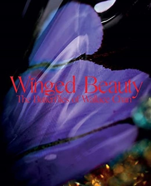Winged beauty - AI Generated Artwork - NightCafe