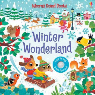 Winter Wonderland Sound Book - Taplin Sam