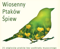 Wiosenny ptaków śpiew: Ptasie śpiewy bez podkładu muzycznego