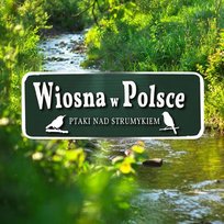 Najczęściej kupowane