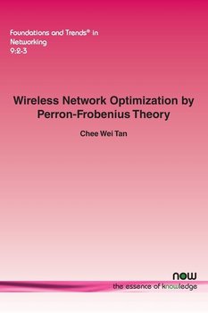 Wireless Network Optimization by Perron-Frobenius Theory - Tan Chee Wei