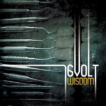 Wisdom - 16volt