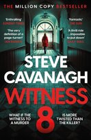 Witness 8 Cavanagh Steve