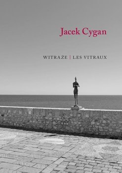 Witraże. Les vitraux - Cygan Jacek