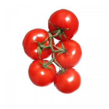 Wkład nasienny Lingot VERITABLE, pomidor koktajlowy - Veritable