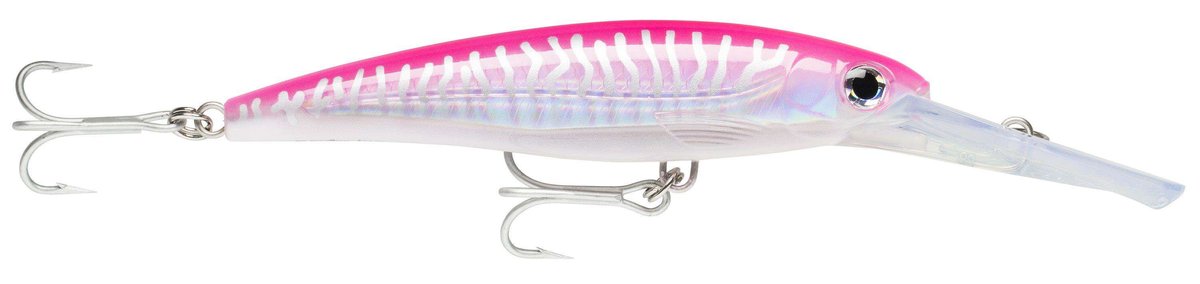 Rapala X-Rap MAG 12 Cm – Leurres Big Game Mer – Plongée Profonde Jusqu'à 12 M – Thon, Marlin, Wahoo – Action Réaliste Holographique