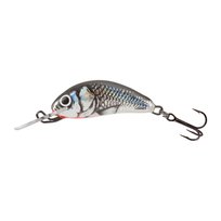 Wobler Salmo Hornet FL holographic grey shiner QHT015 Salmo