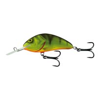 Wobler Salmo Hornet FL hot perch QHT073 Salmo