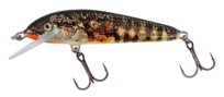 Wobler Salmo Minnow Pływający 6cm Holo Stickleback Salmo