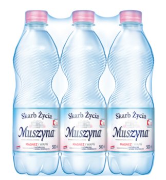 WODA MUSZYNA SKARB ŻYCIA NIEGAZOWANA 0,5L x9 - Inna marka