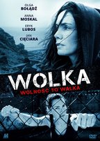 Wolka Asgeirsson Arni