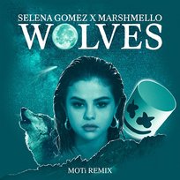 Wolves Selena Gomez, Marshmello