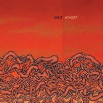 Wonder KNUT