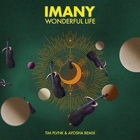 Wonderful Life Imany