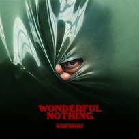 Wonderful Nothing Glass Animals