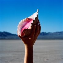 Wonderful Wonderful The Killers