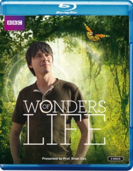 Wonders of Life (brak polskiej wersji językowej)
