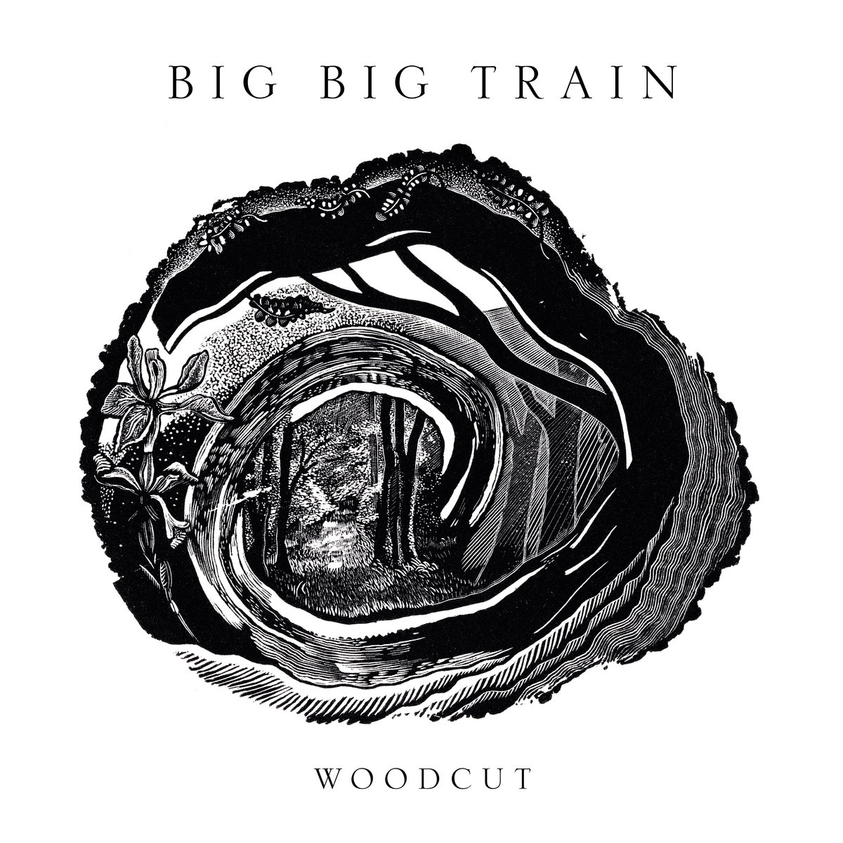 Woddcut Woodcut - Big Big Train | Muzyka Sklep EMPIK.COM