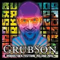 Woodstock Festival Poland 2015 - Grubson