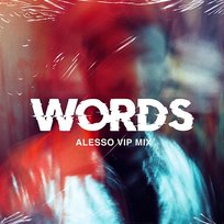 Words Alesso feat. Zara Larsson