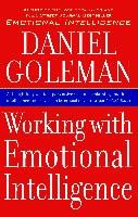 Working with Emotional Intelligence - Goleman Daniel