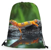 Worko-plecak gekon lamparci