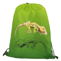 Worko-plecak gekon orzęsiony