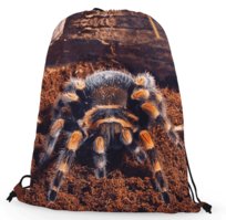 Worko-plecak pająk brachypelma