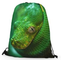 Worko-plecak python wąż