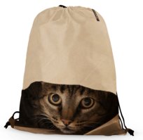 Worko-plecak worek na kota ;)