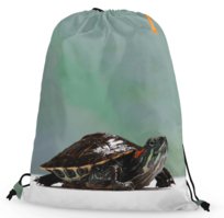 Worko-plecak żółw