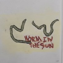 Worm in the Sun ALEXSUCKS