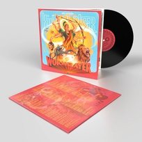 Wormslayer, płyta winylowa Kula Shaker