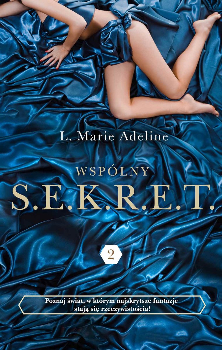 Wspólny S.E.K.R.E.T. Tom 2 - ebook mobi