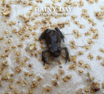 Wykute w deszczu - Rainy Day