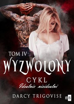 Wyzwolony. Idealnie nieidealni. Tom 4 - Trigovise Darcy