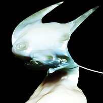 Xen (????? Edition) Arca