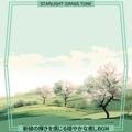 新緑の輝きを感じる穏やかな癒しbgm - Starlight Grass Tune
