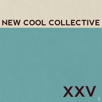 XXV, płyta winylowa - New Cool Collective