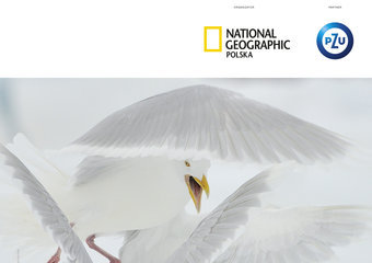 8 Wielki Konkurs Fotograficzny National Geographic