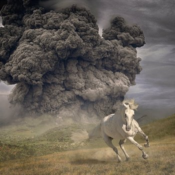 Year Of The Dark Horse - The White Buffalo