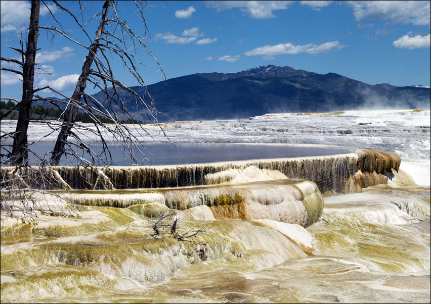 Yellowstone National Park Mammoth Hot Springs, Carol Highsmith - plakat ...