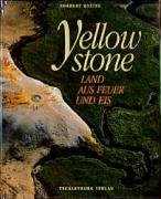 Yellowstone - Rosing Norbert